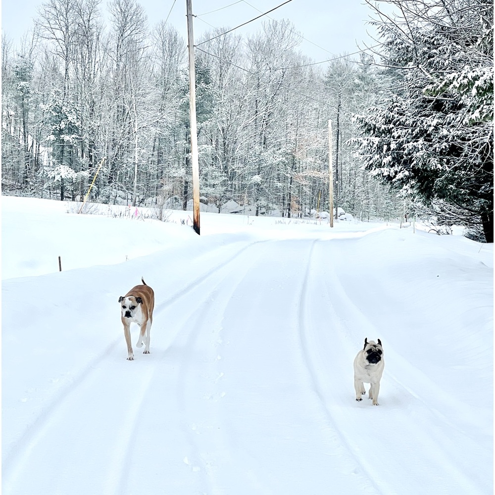 Meet your Posher, Adelina